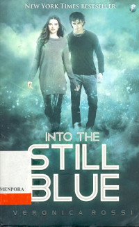 Image of Into the Still Blue