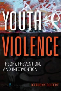 Image of Youth Violence: Theory, Prevention, and Intervention